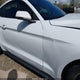 1FA6P8TH6K5172101 2019 Ford Mustang Ecoboost Premium auction photo thumbnail 20