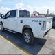 1FTFW3L8XRKD33206 2024 Ford F150 Xlt auction photo thumbnail 3