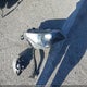 WBAEA53518CV90238 2008 BMW 650I auction photo thumbnail 12