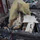 SALFS24N98H042890 2008 Land Rover Lr2 Se auction photo thumbnail 12