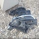 1HGCR2F36FA013341 2015 Honda Accord Lx auction photo thumbnail 12