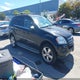 4JGBB8GB2AA548758 2010 Mercedes-Benz Ml 350 4Matic auction photo thumbnail 1