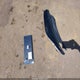 KNAG24J74S5298857 2025 Kia K5 Lxs auction photo thumbnail 12