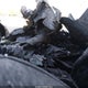1FTEW1EG4JFA60068 2018 Ford F-150 Xlt auction photo thumbnail 7