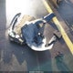 JM3KFACM0M0315132 2021 Mazda Cx-5 Touring auction photo thumbnail 12