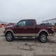 1FTFW1EV1AFA12708 2010 Ford F-150 Fx4/Harley-Davidson/King Ranch/Lariat/Platinum/Xl/Xlt auction photo thumbnail 15