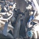 SHHFK7H51JU401541 2018 Honda Civic Ex auction photo thumbnail 21