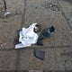 3FAHP08117R125228 2007 Ford Fusion Sel auction photo thumbnail 12