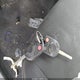 1FADP3K25FL240932 2015 Ford Focus Se auction photo thumbnail 11