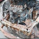 1HGCR2F82GA000518 2016 Honda Accord Ex-L auction photo thumbnail 6