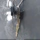 1FTDX176XWKA04566 1998 Ford F-150 Lariat/Standard/Xl/Xlt auction photo thumbnail 11