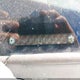 2HGFG12856H503009 2006 Honda Civic Ex auction photo thumbnail 9