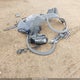 5N1BT3BB0RC671689 2024 Nissan Rogue Sv Intelligent Awd auction photo thumbnail 12