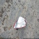 1G2ZF57B884148917 2008 Pontiac G6 Value Leader auction photo thumbnail 12