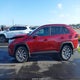 2T3C1RFV0RW313592 2024 Toyota Rav4 Xle Premium auction photo thumbnail 14