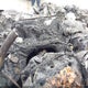 SALYL2EX8KA215823 2019 Land Rover Range Rover Velar P250 R-Dynamic Se auction photo thumbnail 7