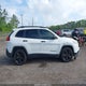 1C4PJLAB2HW502417 2017 Jeep Cherokee Altitude Fwd auction photo thumbnail 13