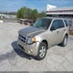 1FMCU0D74AKD16513 2010 Ford Escape Xlt auction photo thumbnail 2