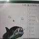 5YJ3E1EB5LF522076 2020 Tesla Model 3 Long Range Dual Motor All-Wheel Drive auction photo thumbnail 16