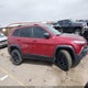 1C4PJMBS9GW245923 2016 Jeep Cherokee Trailhawk auction photo thumbnail 13