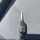 1FTFW1ET2DFA20707 2013 Ford F-150 Xlt auction photo thumbnail 11