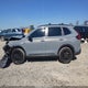 7FARS6H8XSE108424 2025 Honda Cr-V Hybrid Sport-L auction photo thumbnail 14