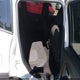 ZACNJBAB1LPL64745 2020 Jeep Renegade Sport 4X4 auction photo thumbnail 8