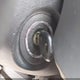 5NPEB4AC0CH488504 2012 Hyundai Sonata Gls auction photo thumbnail 17
