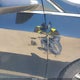 5NPE24AF7HH544908 2017 Hyundai Sonata Se auction photo thumbnail 14