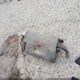 JF1GH63628H827317 2008 Subaru Impreza Outback Sport auction photo thumbnail 12