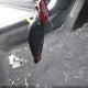 2C3CDYBTXDH741818 2013 Dodge Challenger R/T Plus auction photo thumbnail 11