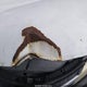 2T3WFREV0FW178979 2015 Toyota Rav4 Xle auction photo thumbnail 19