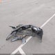 2HGFE2F56NH563729 2022 Honda Civic Sport auction photo thumbnail 12