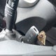 5XYPGDA34GG087089 2016 Kia Sorento 2.4L Lx auction photo thumbnail 11