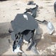 KMHLL4DG3SU942442 2025 Hyundai Elantra Se auction photo thumbnail 12