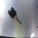 1N6ED29X93C456455 2003 Nissan Frontier Xe-V6 auction photo thumbnail 11