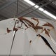 1N6BF0LY4KN810274 2019 Nissan Nv Cargo Nv2500 Hd Sv V6 auction photo thumbnail 6