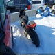 MBX745WEWGEN00272 2016 Honda Cbr500R auction photo thumbnail 3