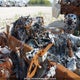 1XKYDP9X9NJ988367 2022 Kenworth T680 auction photo thumbnail 7