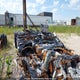 1XKYDP9X9NJ988367 2022 Kenworth T680 auction photo thumbnail 8