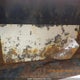2S9CSM2W4MA168029 2021 Squirrel Creek Utility Trailer auction photo thumbnail 6