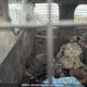 3GNGK26U24G175941 2004 Chevrolet Suburban 2500 Ls auction photo thumbnail 8