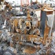 1XPHDU9X37N671026 2007 Peterbilt Other auction photo thumbnail 10