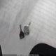 4X4TRPT12LB022973 2020 R-Pod Forest River auction photo thumbnail 11
