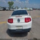1ZVBP8AN3A5110863 2010 Ford Mustang auction photo thumbnail 16