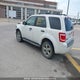 1FMCU9DG1BKB42373 2011 Ford Escape Xlt V6 auction photo thumbnail 3