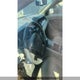1FAHP2HW4CG136572 2012 Ford Taurus Sel auction photo thumbnail 5