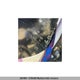 SN1TFG8M0RC233770 2024 Polaris Other auction photo thumbnail 5