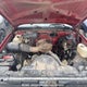 2GCEK19K8L1139814 1990 Chevrolet K/V 10/1500 4+Cab auction photo thumbnail 10