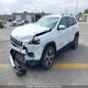 1C4PJMDN9KD177313 2019 Jeep Cherokee Limited auction photo thumbnail 2